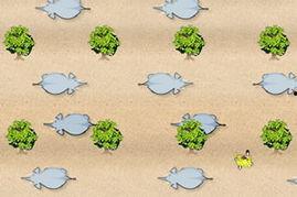 小雪花生存挑战,逆境成长记