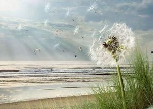 摆荡人生,探寻人生起伏的哲学之旅