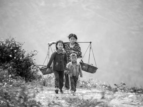 原乡人,寻根溯源，探寻故土记忆的传承与变迁