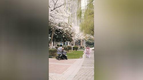 马甲藏不住后傅先生宠我上天,傅先生宠我上天的甜蜜日常