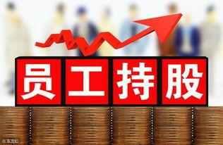 裁员后老板后悔莫及,反思企业人才战略的失误与教训