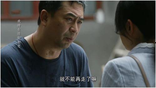 反派收手吧咱儿子穿来了,一场意外的时空之旅